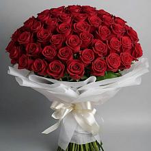 Букет 101 Красная роза Блэк Мэджик в Хотынец