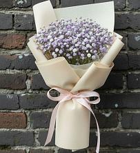Букет цветов из:  Гипсофила в Хотынец