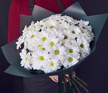 Букет цветов из:  Хризантемы #REPLACE_PRED# Хотынец