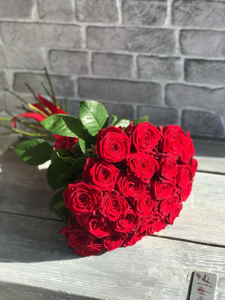 Букет Красные розы Фридом в Хотынец