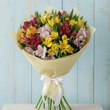 Букет цветов из:  Альстромерии в Хотынец