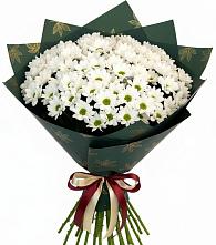 Букет цветов из:  Хризантемы в Хотынец