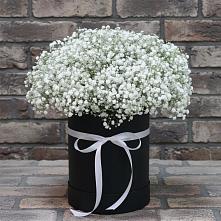 Цветочная композиция из Гипсофила в шляпной коробке #REPLACE_PRED# Хотынец