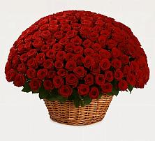 Премиум букет из: Розы в Хотынец