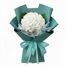Букет цветов из:  Гортензия #REPLACE_PRED# Хотынец